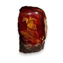 Crabe dans un fossile d\'ambre artificielle