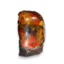 Papillon dans un fossile d\'ambre artificielle