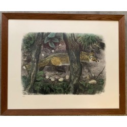 Engraving entitled ‘Fox on the Lookout’, signed RIME
