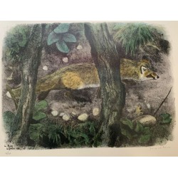 Engraving entitled ‘Fox on the Lookout’, signed RIME