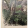 Engraving entitled ‘Fox on the Lookout’, signed RIME