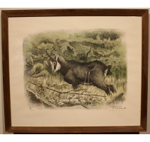 Gravure "Chamois" signée RIME