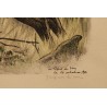 Engraving entitled ‘Chamois’, signed by RIME