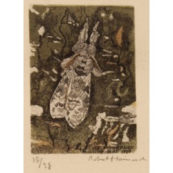 Engraving entitled "Dasychira", signed by Robert HAINARD