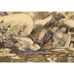 Engraving entitled ‘Sparrows’, signed by Robert HAINARD
