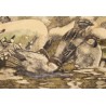 Engraving entitled ‘Sparrows’, signed by Robert HAINARD