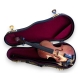 Violon miniature