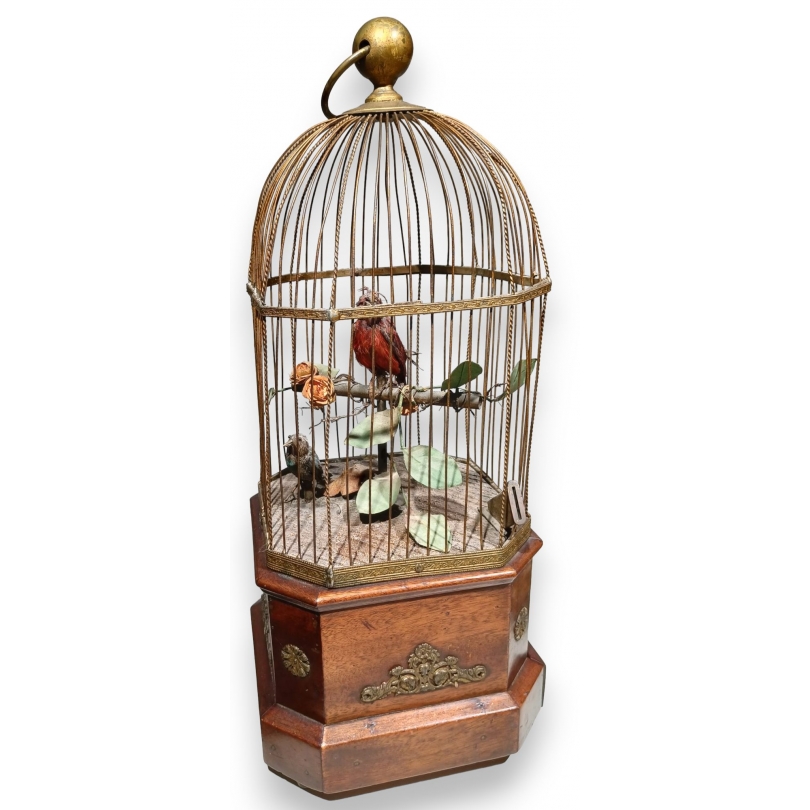 Oiseau chanteur par BONTEMPS