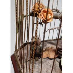 Songbird by BONTEMPS