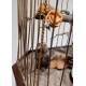 Oiseau chanteur par BONTEMPS
