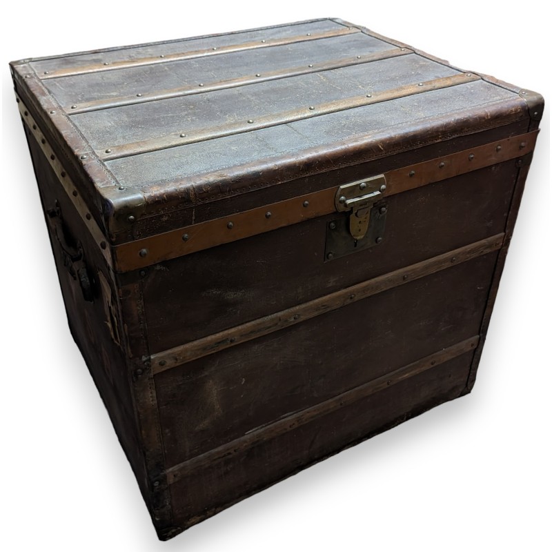 MOYNAT travel trunk