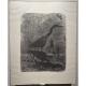 Gravure "Héron" signée Robert HAINARD