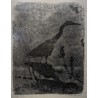 Engraving entitled ‘Héron’, signed by Robert HAINARD