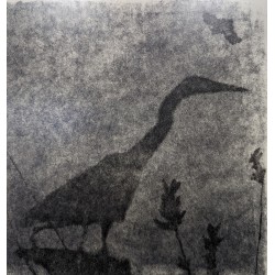 Engraving entitled ‘Héron’, signed by Robert HAINARD