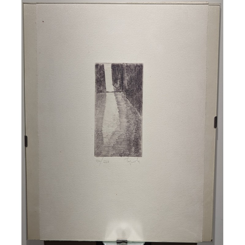 Lithograph entitled ‘Porte’, signed? 176/220