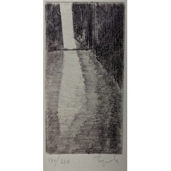 Lithograph entitled ‘Porte’, signed? 176/220