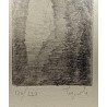 Lithograph entitled ‘Porte’, signed? 176/220