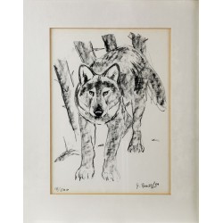 Engraving entitled ‘The Wolf’, signed G. BRESSLER