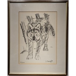 Engraving entitled ‘The Wolf’, signed G. BRESSLER