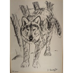 Engraving entitled ‘The Wolf’, signed G. BRESSLER