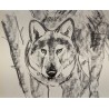 Engraving entitled ‘The Wolf’, signed G. BRESSLER
