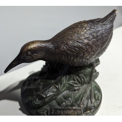 Poule d'eau en bronze