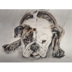 Dessin "Cerbera" signé F. DE PORET 1989