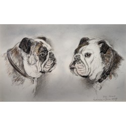 Dessin "Cerbera" signé F. DE PORET 1989