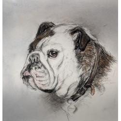 Dessin "Cerbera" signé F. DE PORET 1989