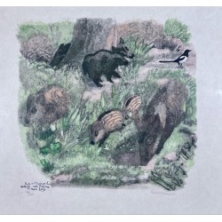 Engraving entitled ‘Wild Boars with a Magpie’, signed HAINARD