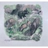 Engraving entitled ‘Wild Boars with a Magpie’, signed HAINARD