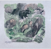 Gravure "Sangliers avec une pie" signée HAINARD