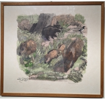 Gravure "Sangliers avec une pie" signée HAINARD