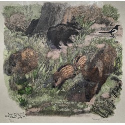 Engraving entitled ‘Wild Boars with a Magpie’, signed HAINARD