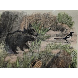 Engraving entitled ‘Wild Boars with a Magpie’, signed HAINARD