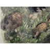 Engraving entitled ‘Wild Boars with a Magpie’, signed HAINARD