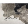 Engraving entitled ‘Mother Bear and Her Cubs’, signed HAINARD