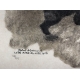 Gravure "Ourse et ses jeunes" signée HAINARD