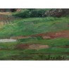 Tableau \"Paysage\" signé SILVESTRE