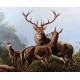 Tableau "Groupe de Cerfs"