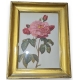 Reproduction de gravure "Rose"