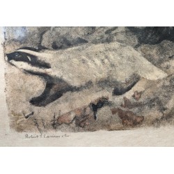 Engraving entitled "Badgers", signed by Robert HAINARD
