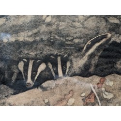 Engraving entitled "Badgers", signed by Robert HAINARD