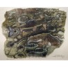 Engraving entitled ‘Ombre et perchette’, signed HAINARD