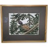 Aquarelle "Grand Tétras" signée C. STERN