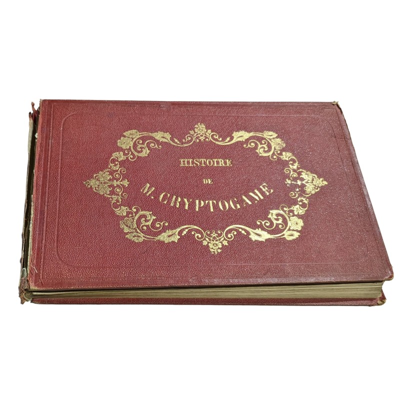 Livre \"Histoire de M. Cryptogame\"