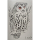 Lithographie "Hibou" signée BRESSLER