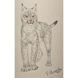 Lithograph entitled ‘Lynx’, signed by G. BRESSLER