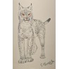 Lithograph entitled ‘Lynx’, signed by G. BRESSLER