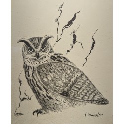 Lithograph entitled "Owl", signed by G. BRESSLER
